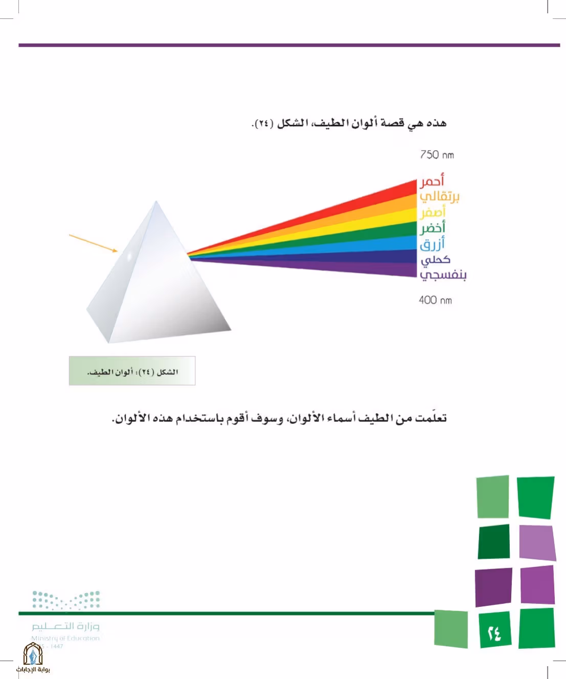 صفحة 24