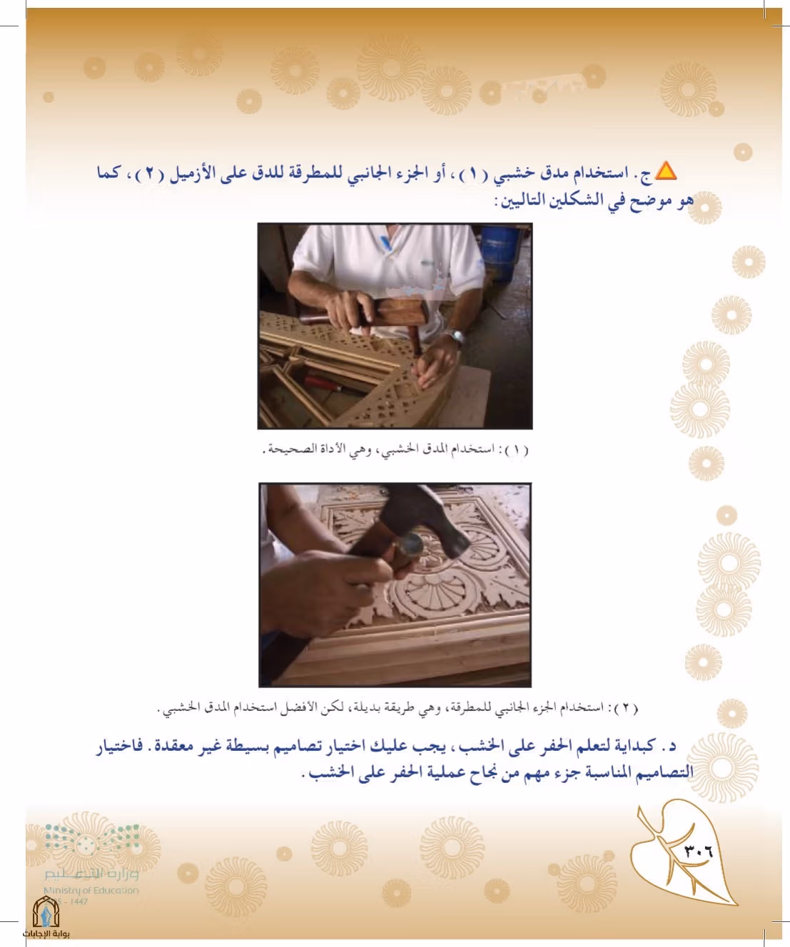 صفحة 306