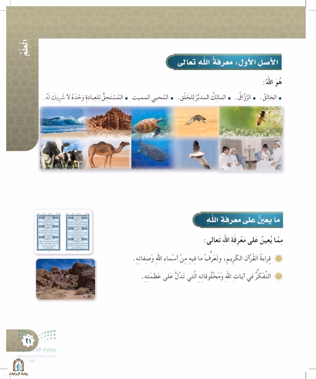 صفحة 21