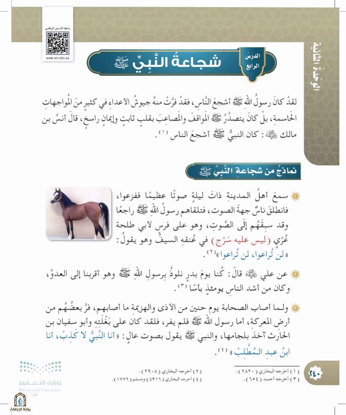 صفحة 240