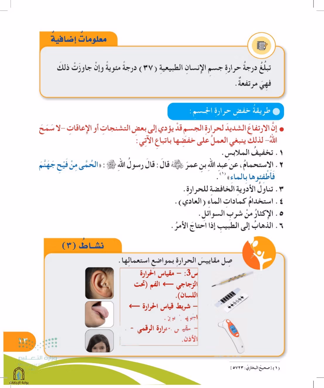 صفحة 13