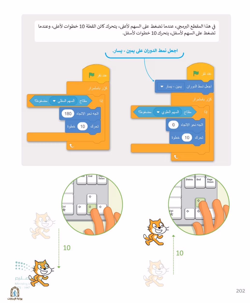 صفحة 204