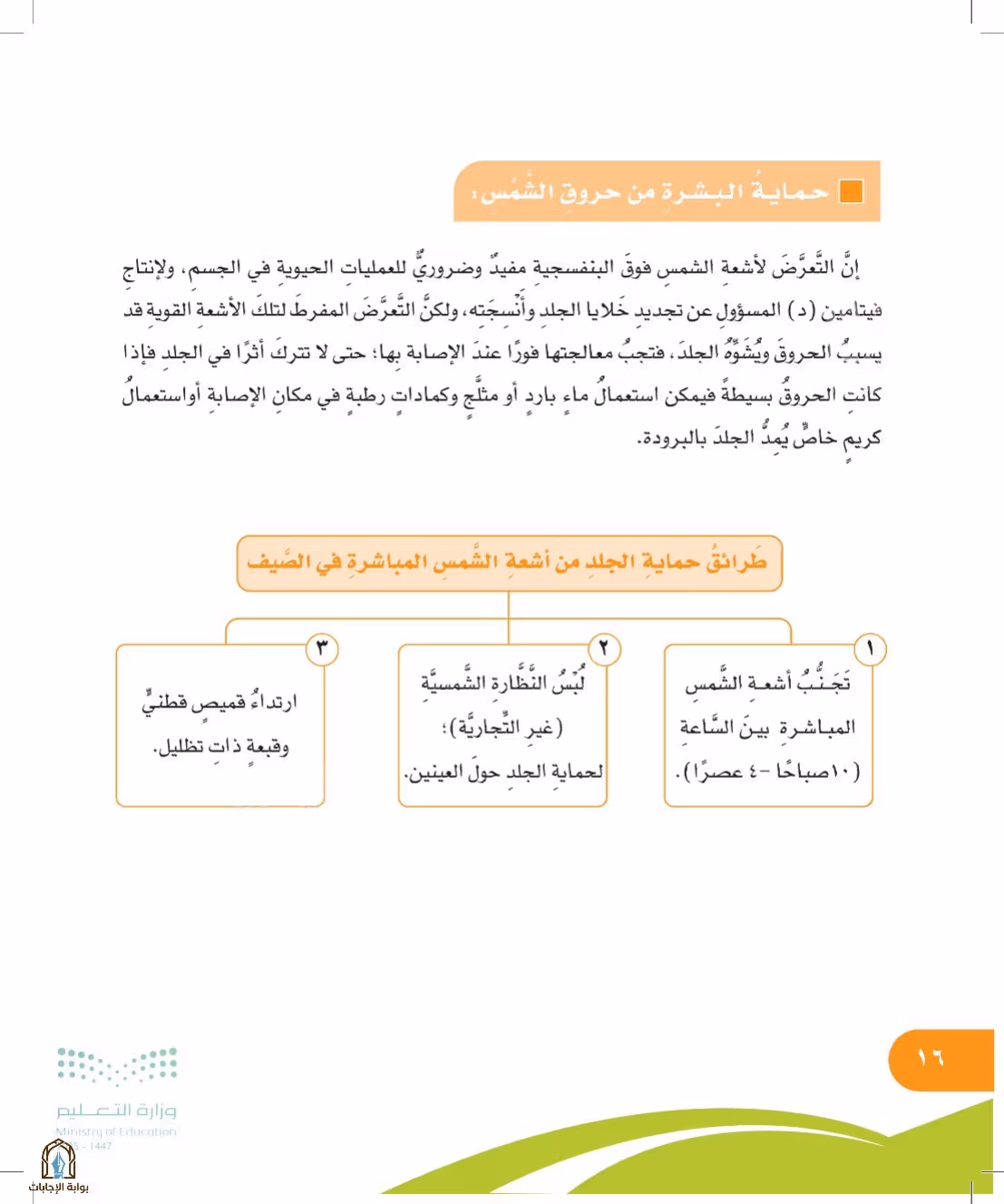 صفحة 16