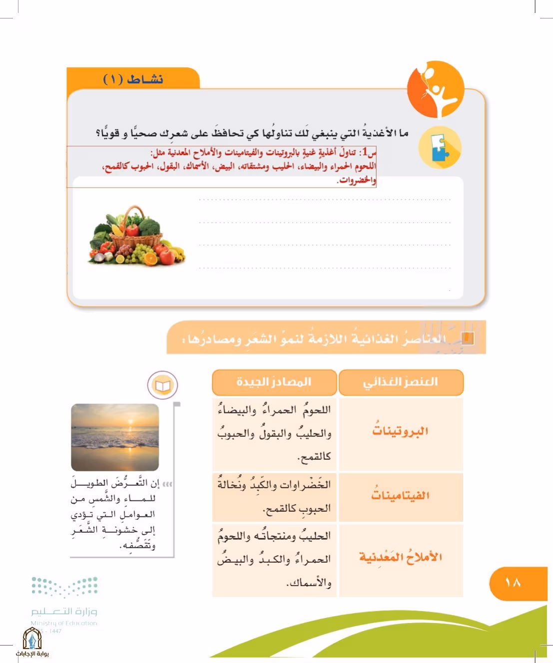 صفحة 18