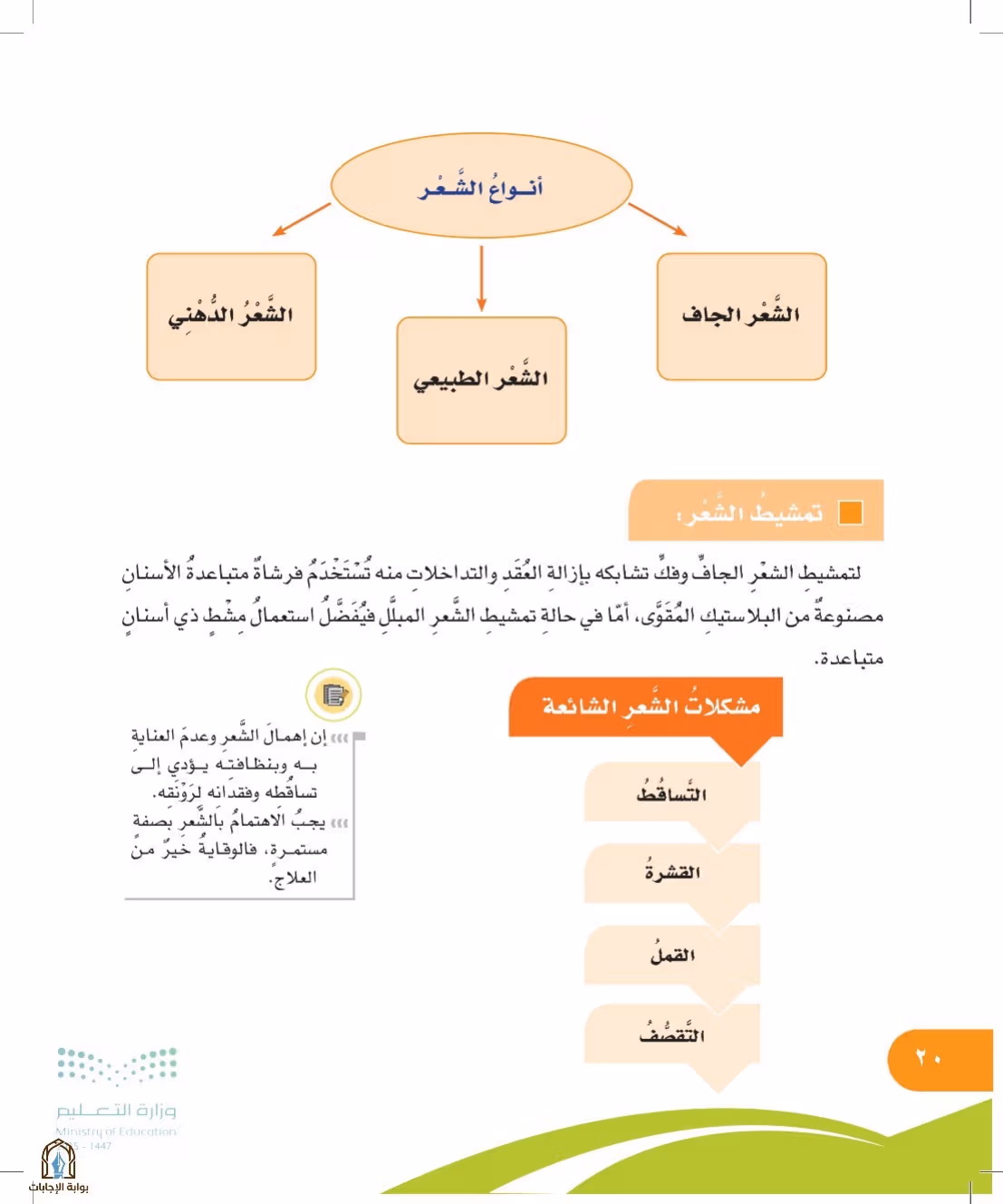 صفحة 20