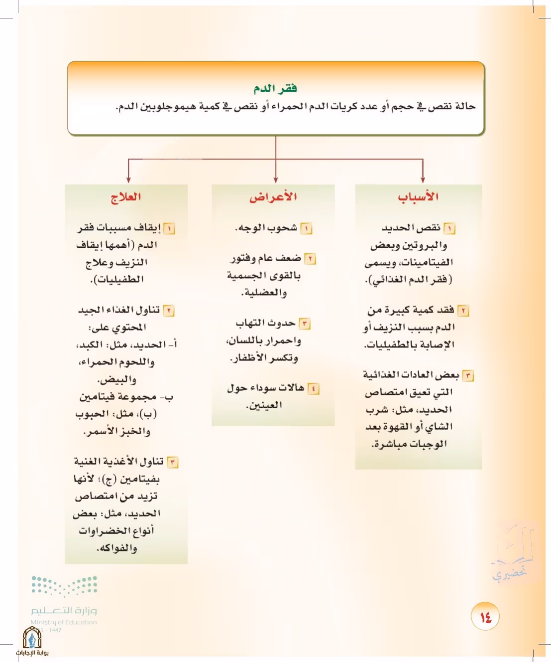 صفحة 14