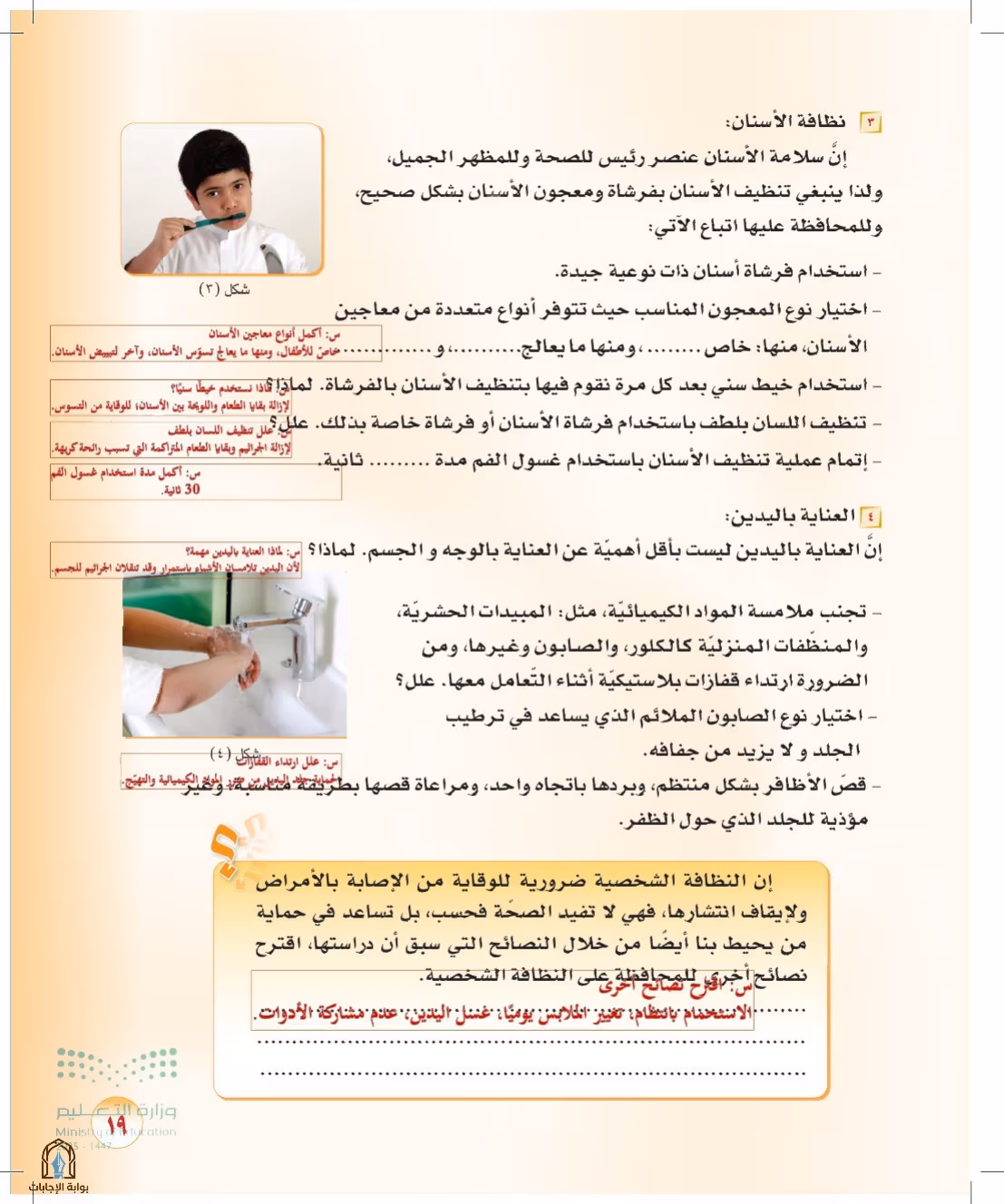 صفحة 19