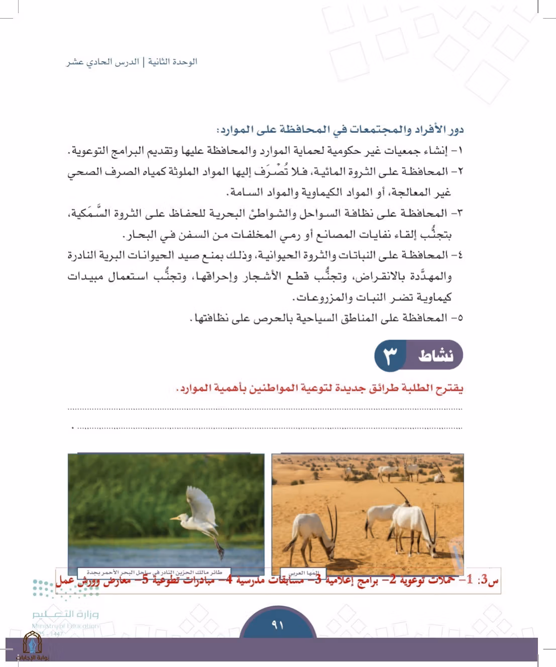 صفحة 91