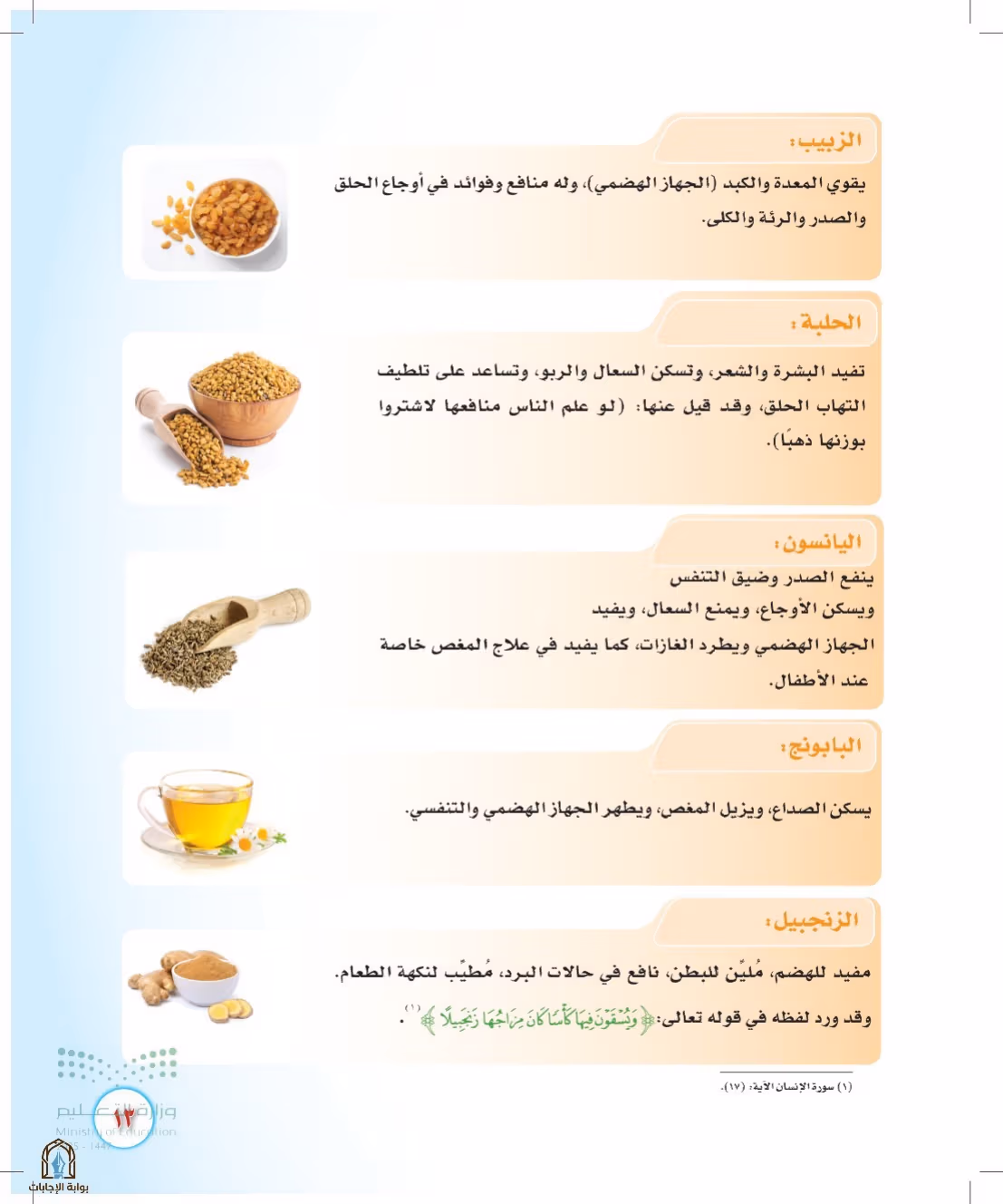 صفحة 13