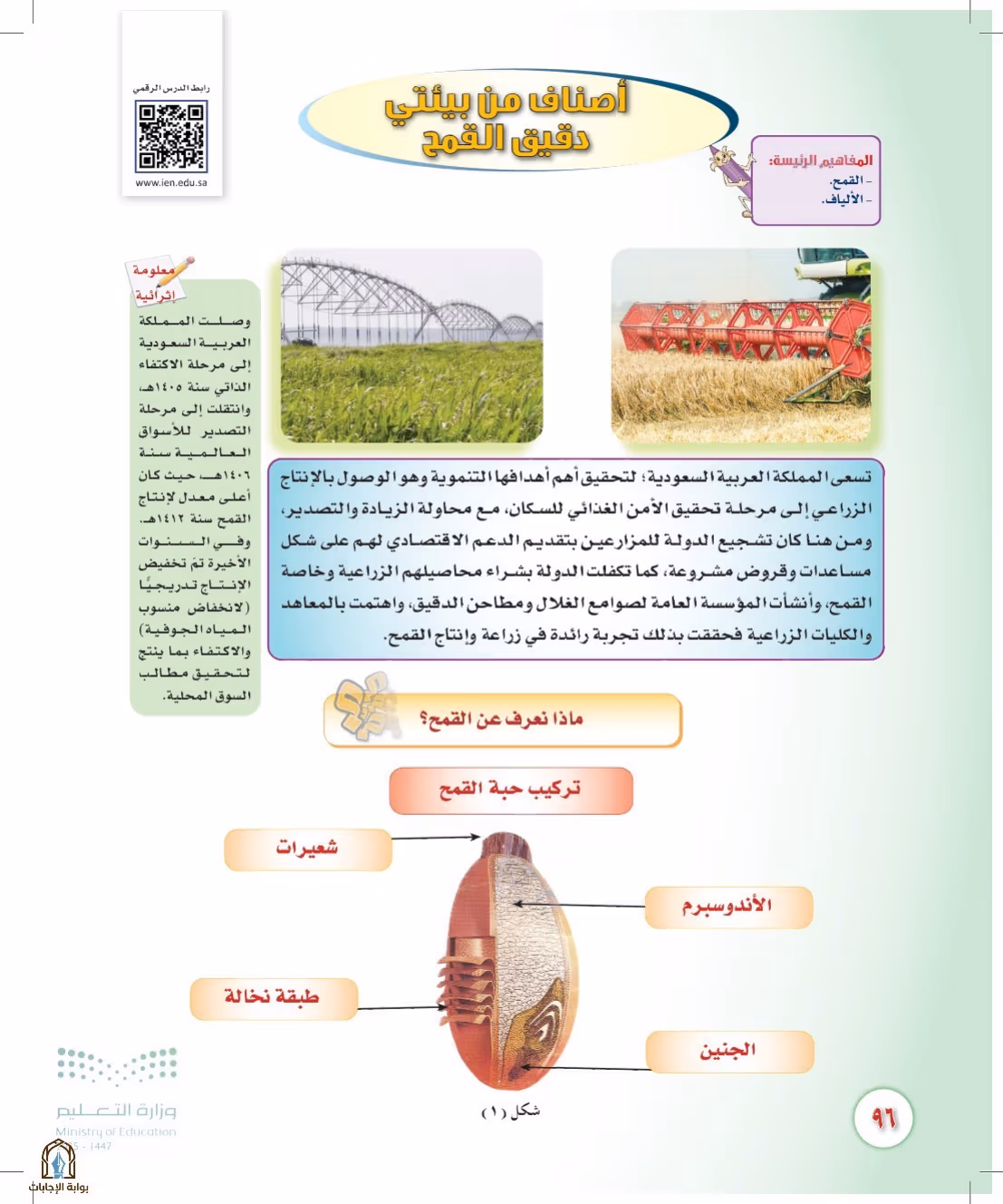 صفحة 96