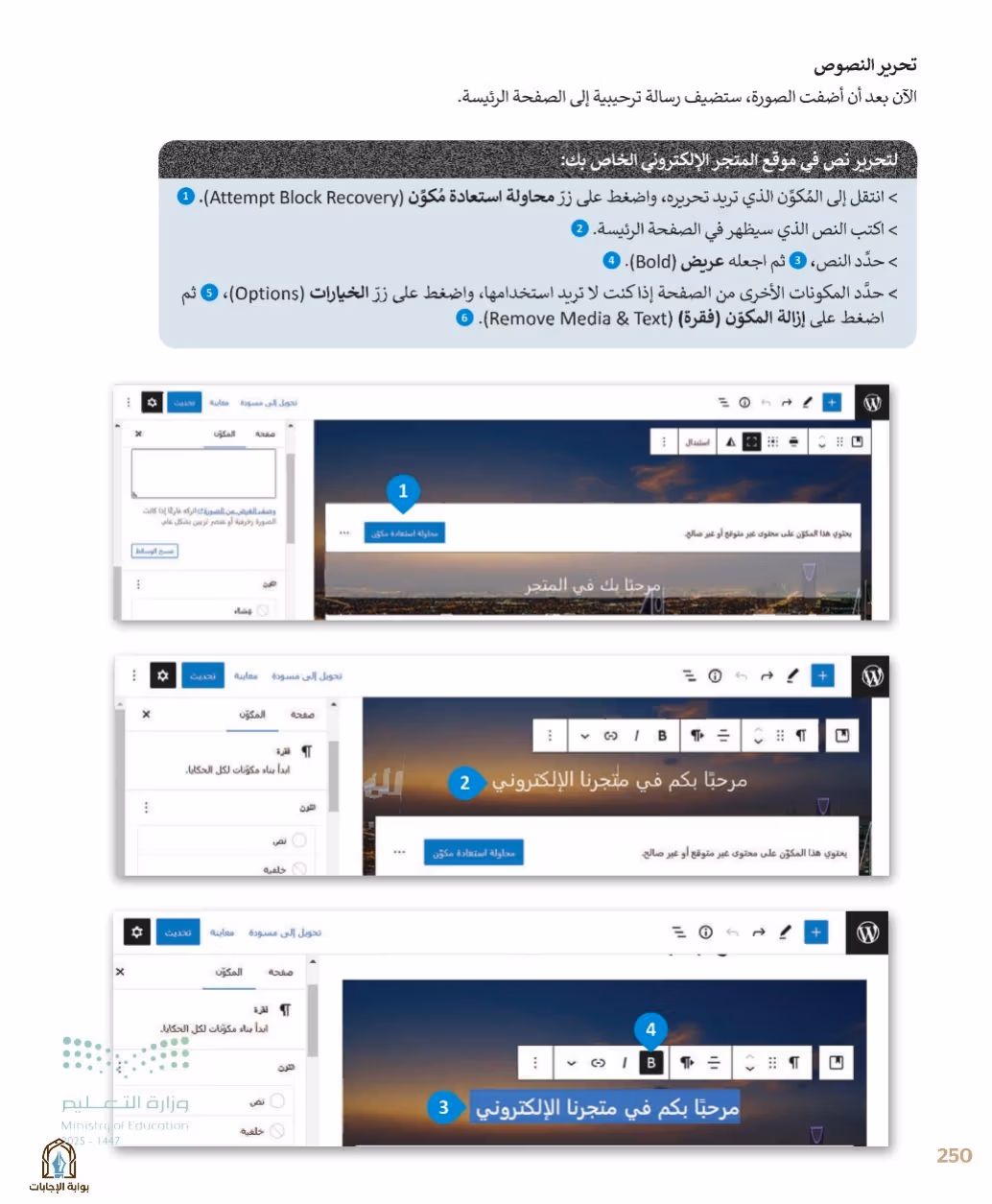 صفحة 252