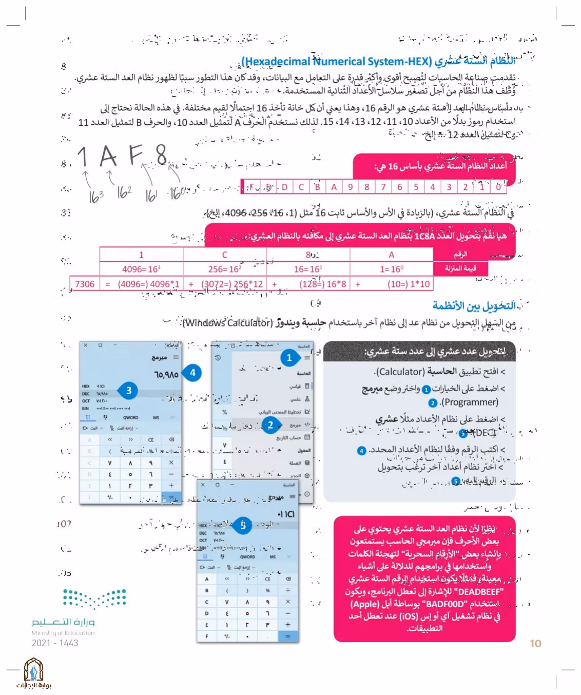 صفحة 10