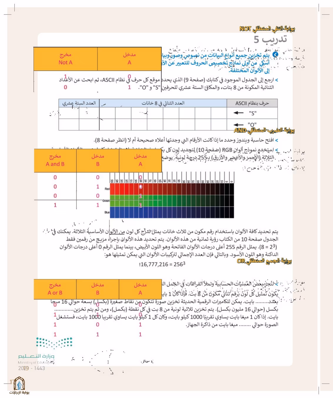 صفحة 19