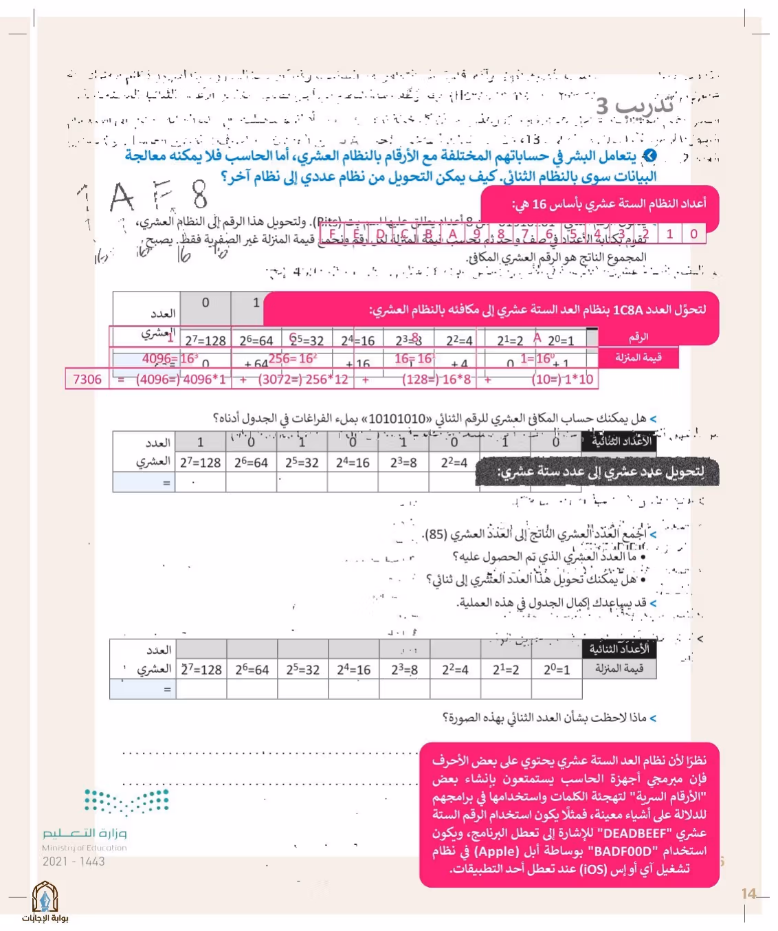 صفحة 16