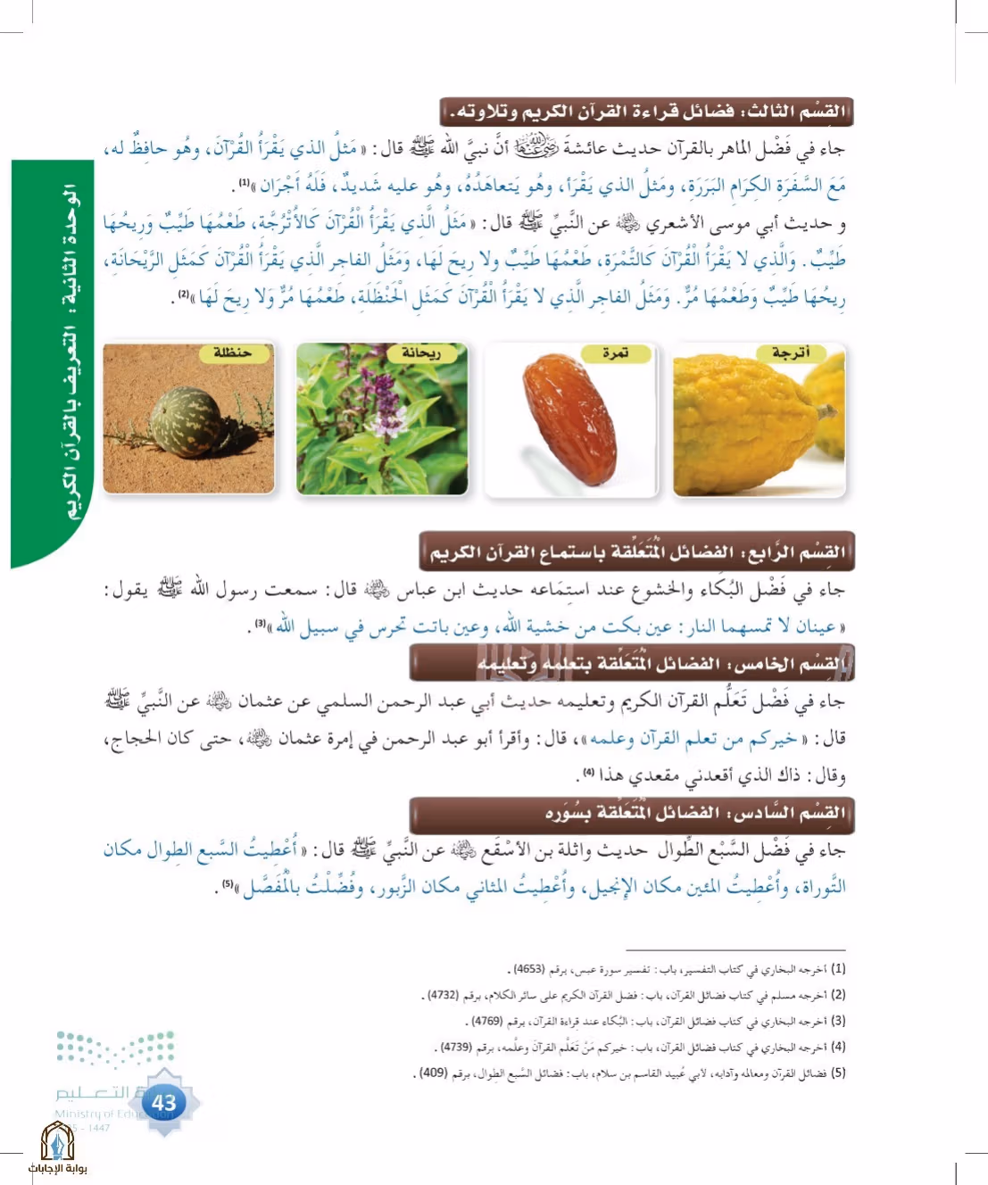 صفحة 43