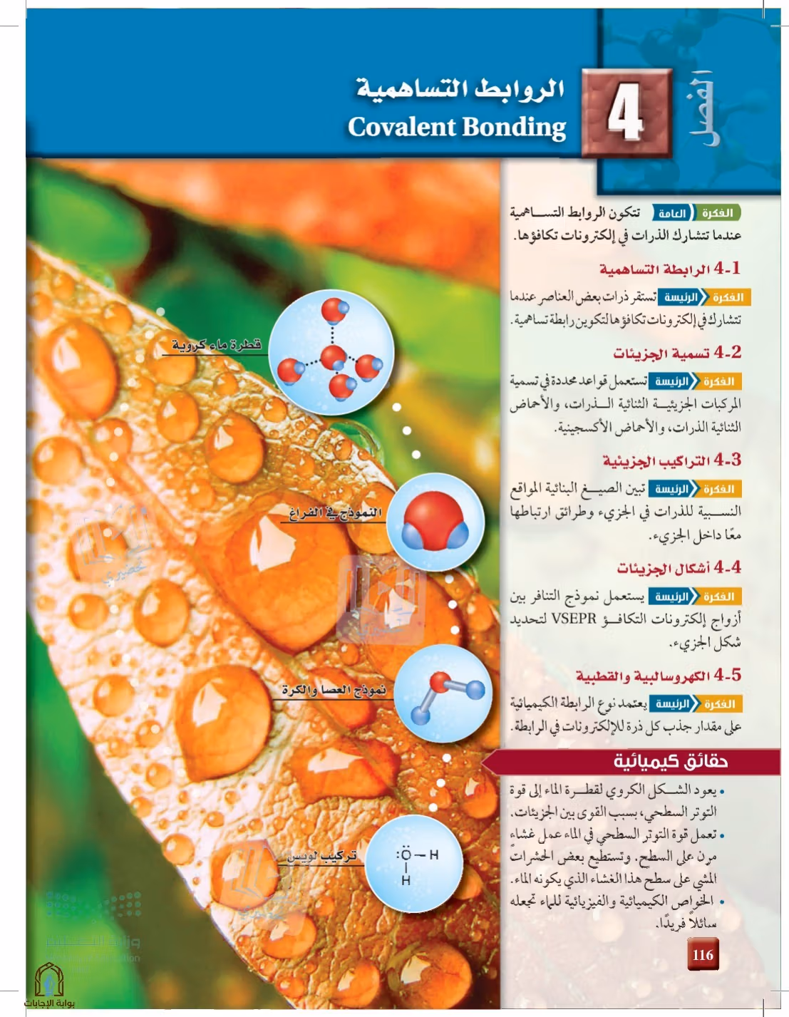 صفحة 116
