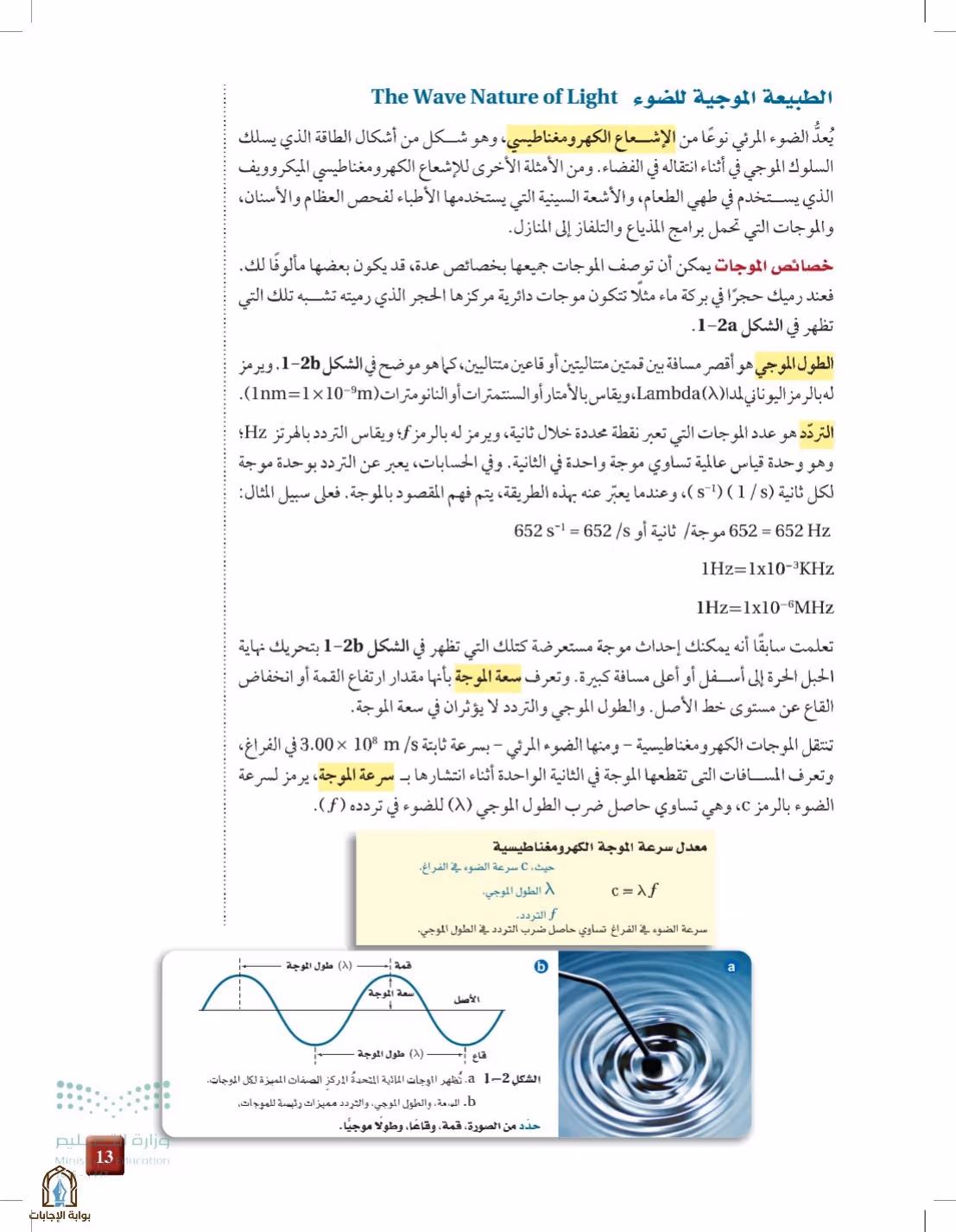 صفحة 13