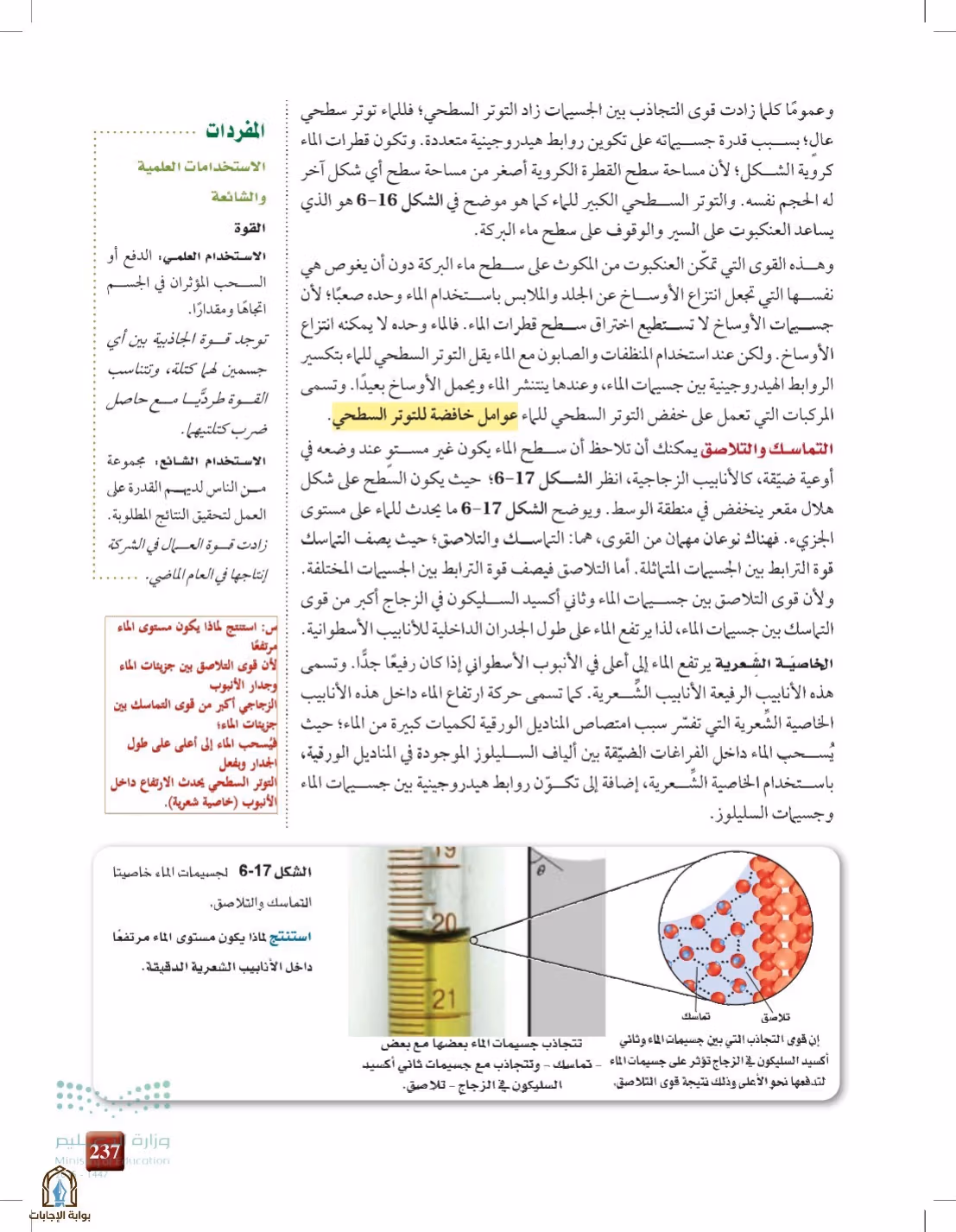 صفحة 237