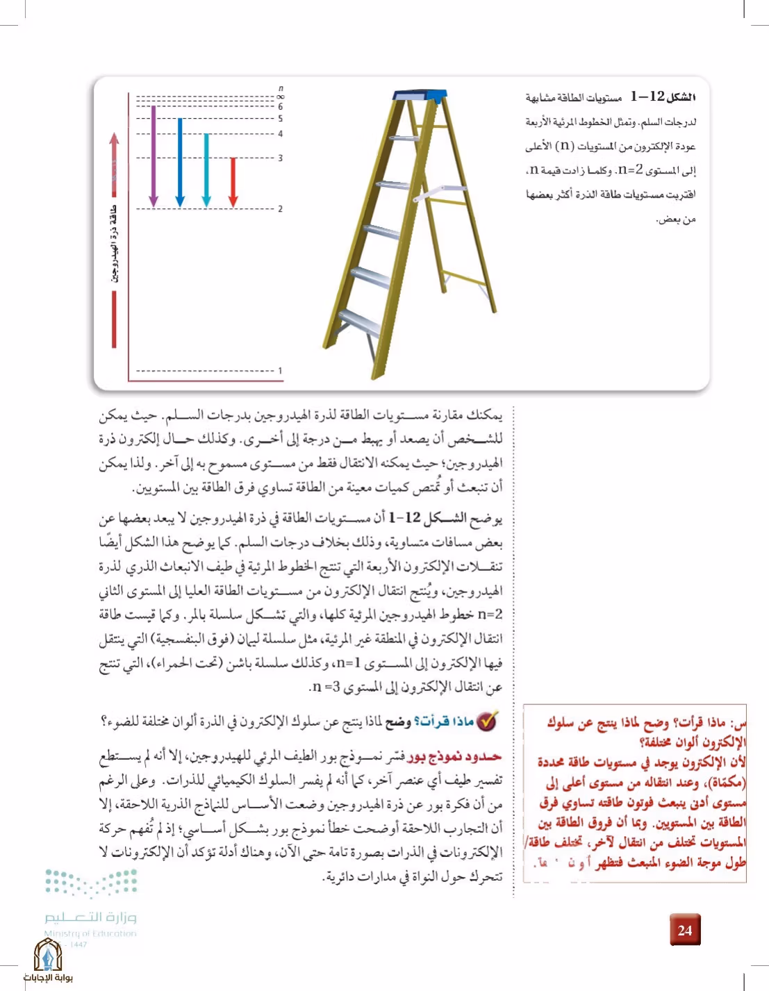 صفحة 24