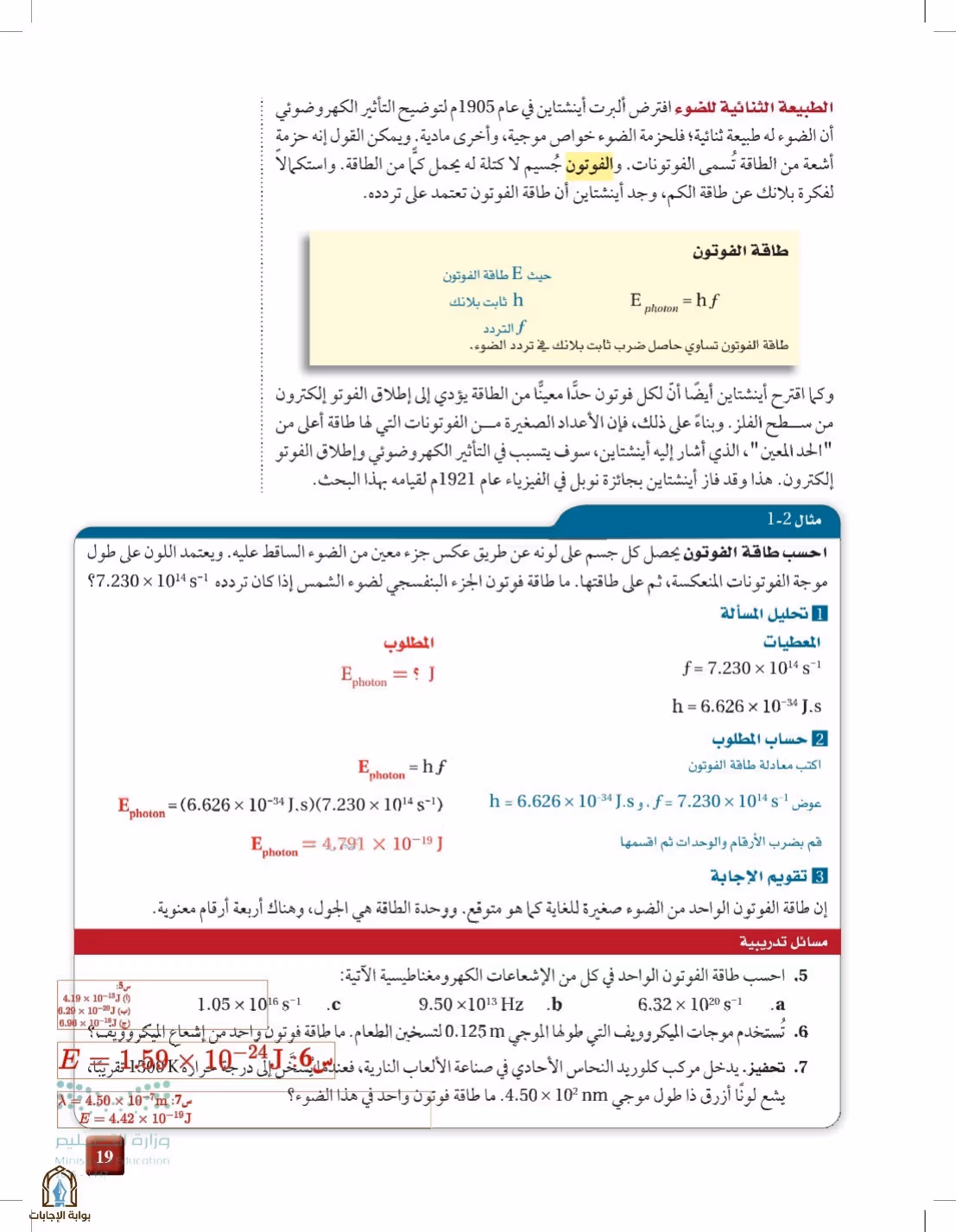 صفحة 19