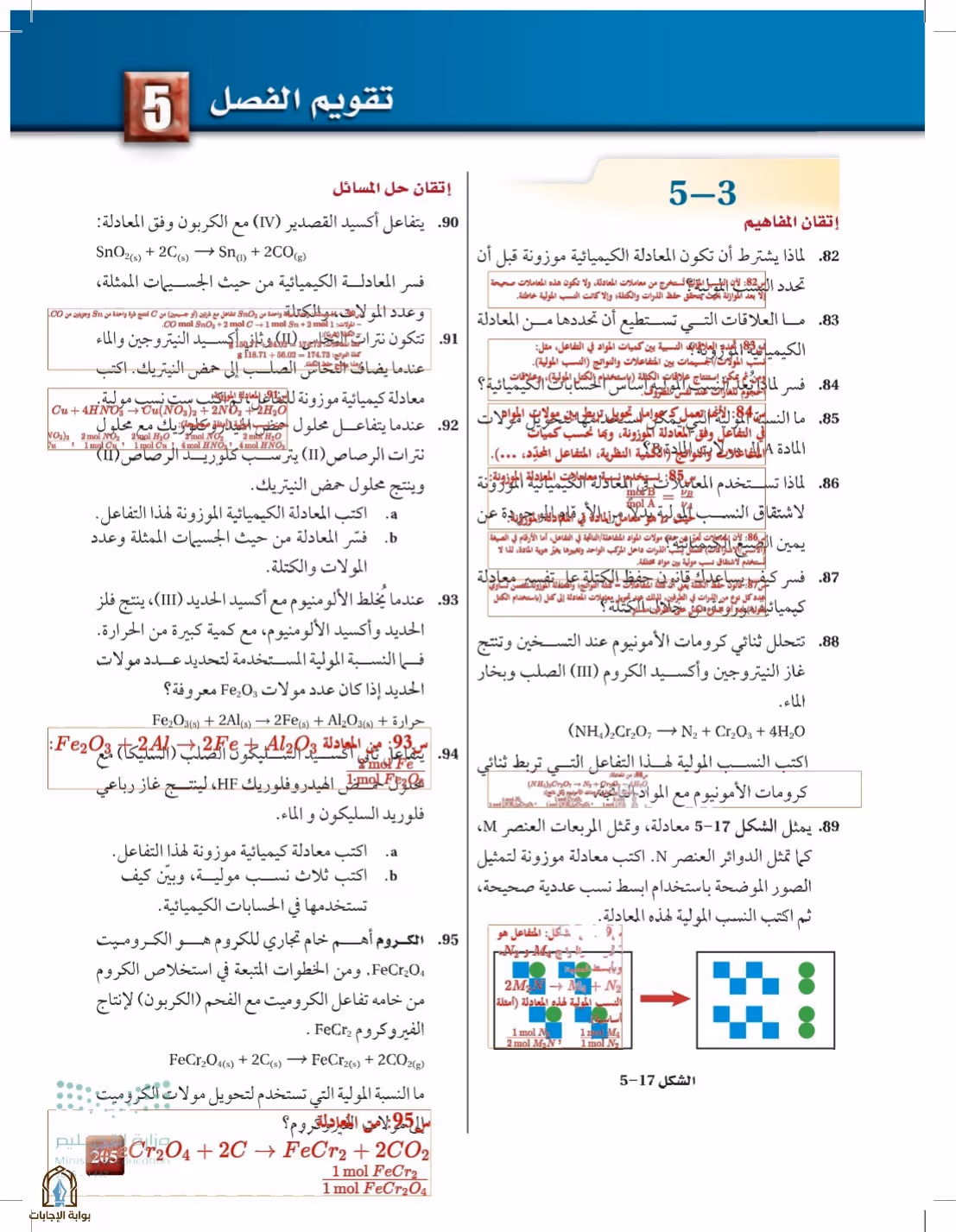 صفحة 205