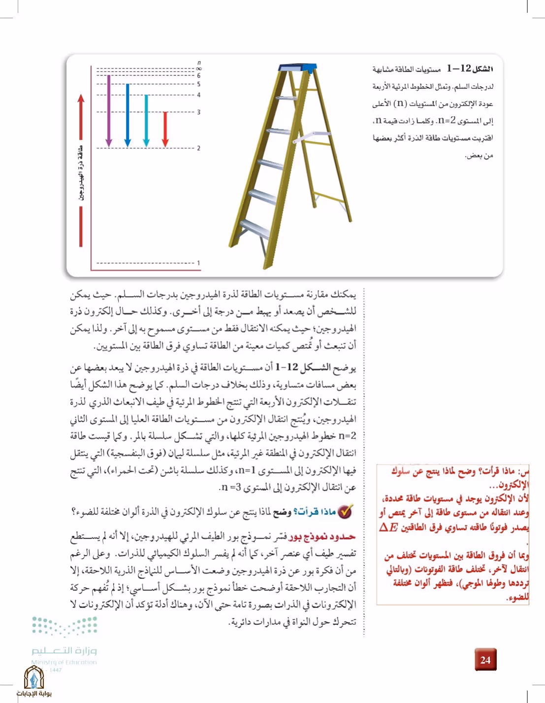 صفحة 24