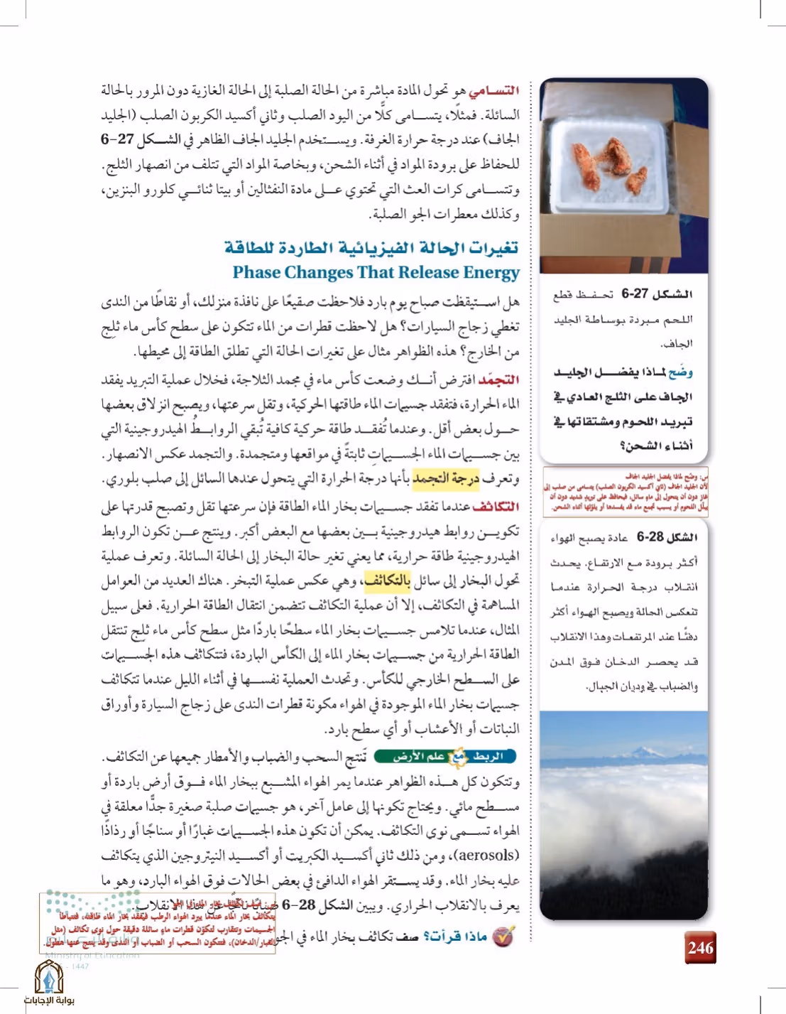 صفحة 246