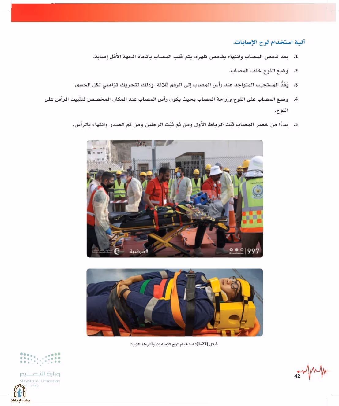 صفحة 42