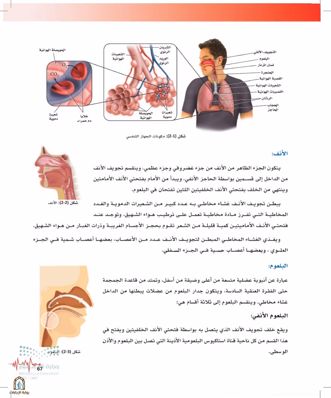 صفحة 67