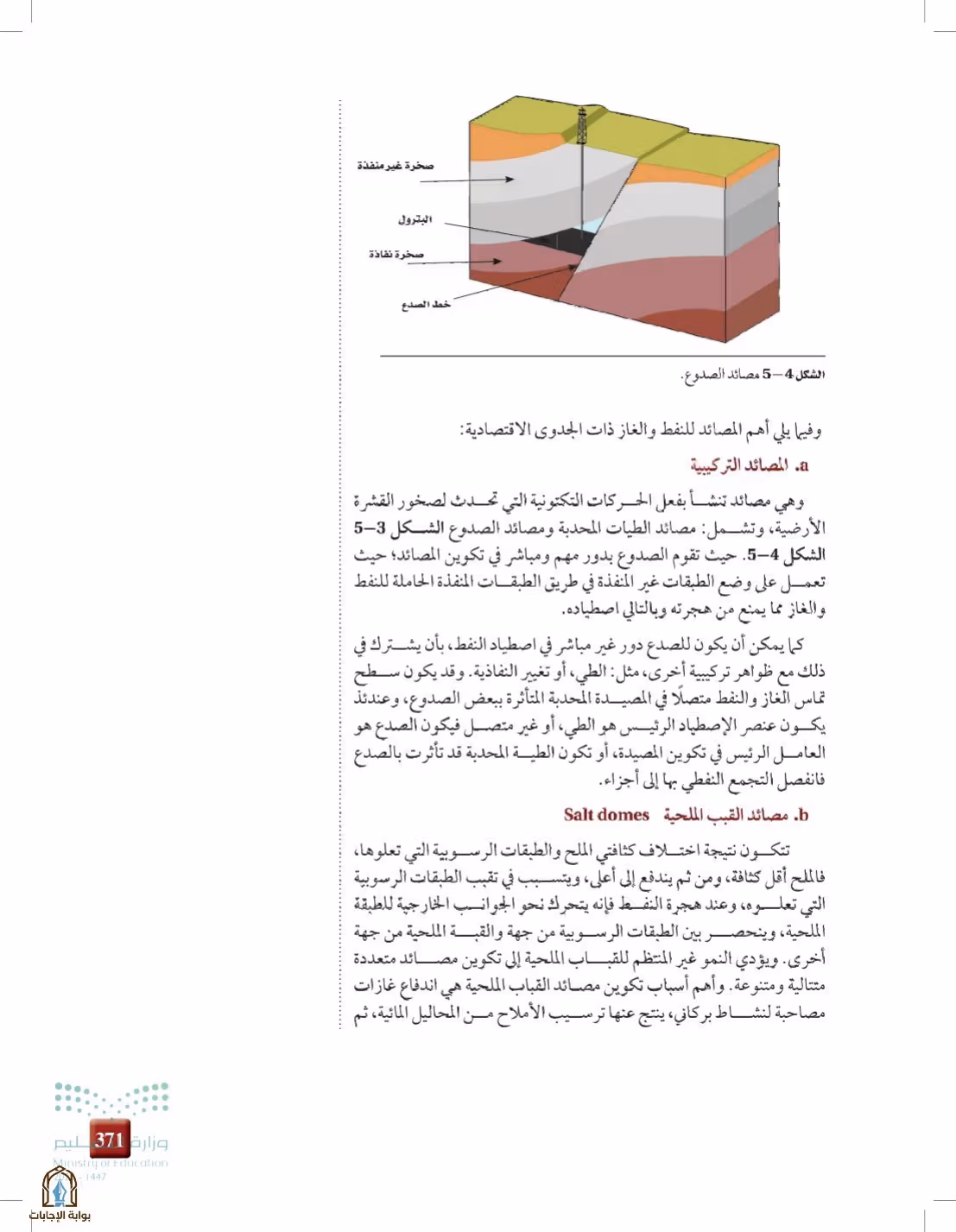 صفحة 371