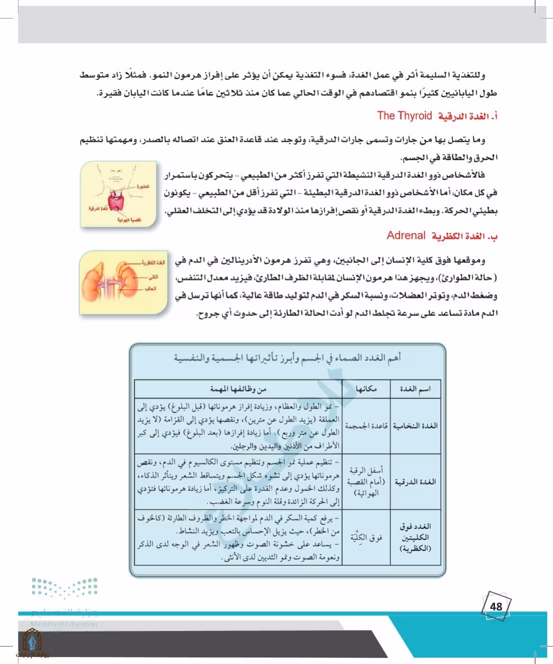 صفحة 48