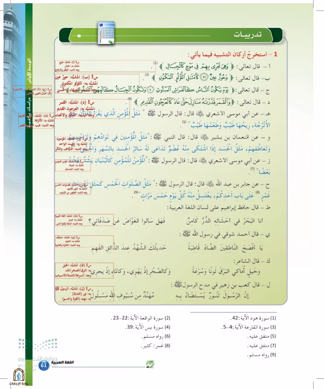صفحة 61