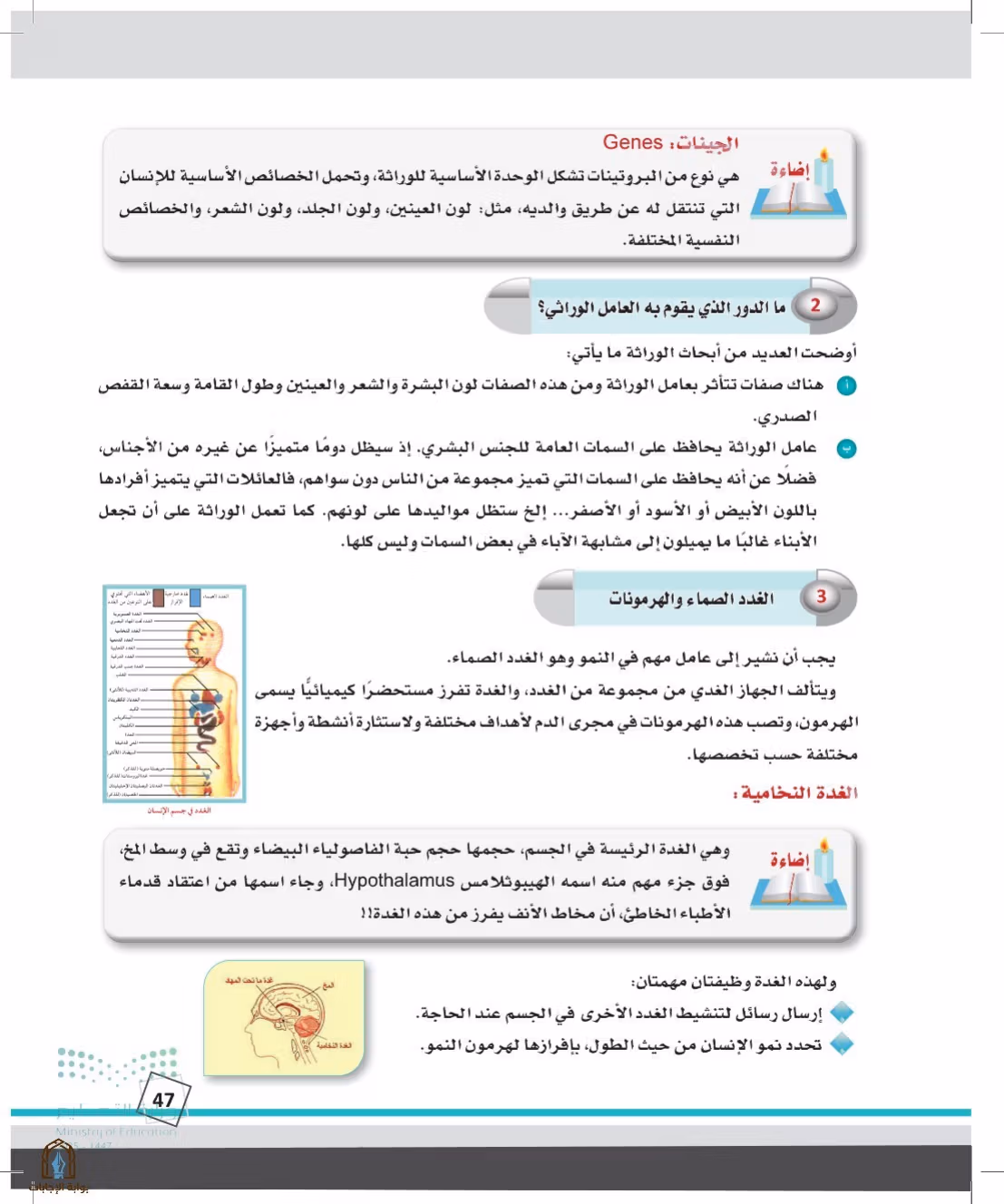 صفحة 47