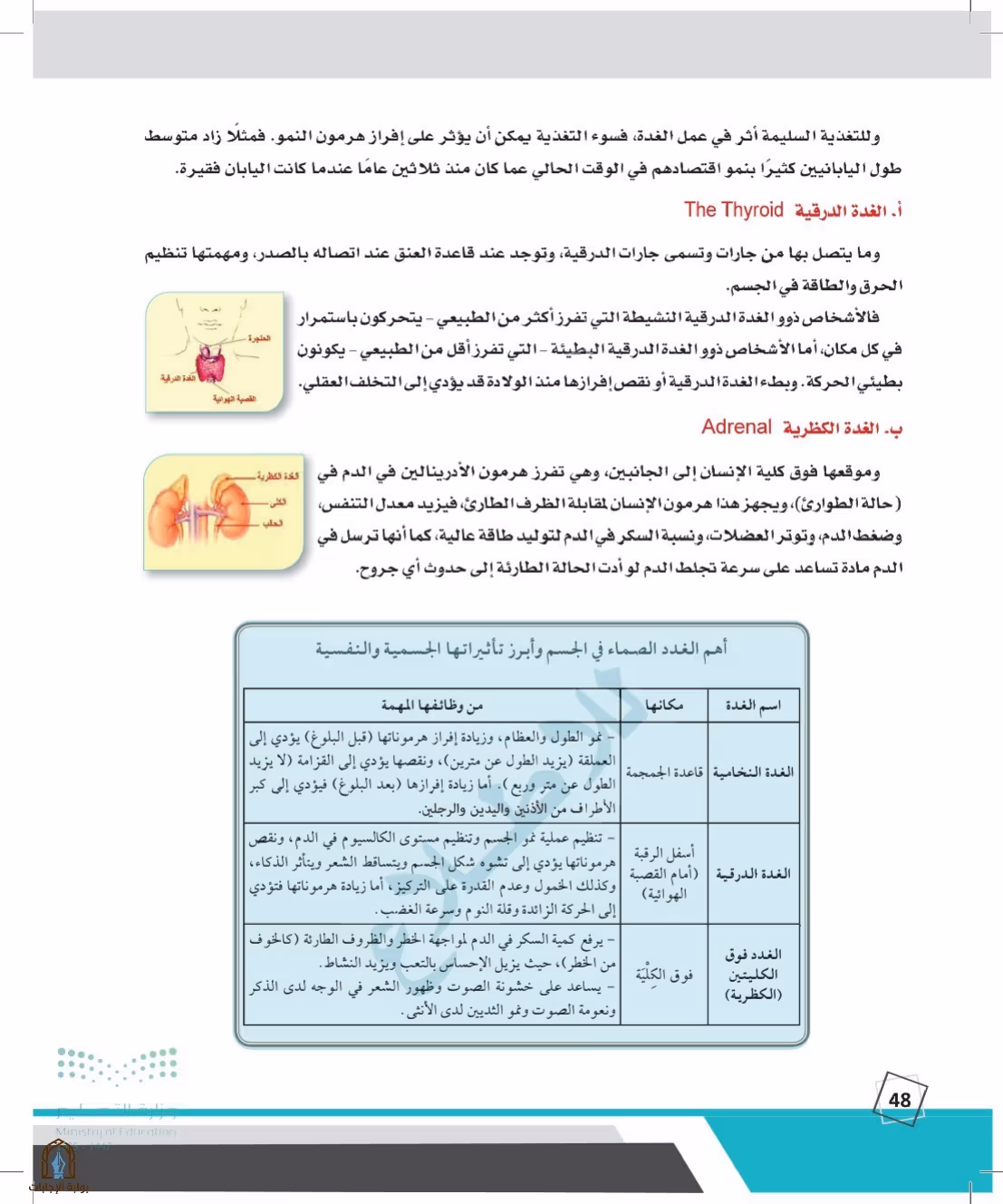 صفحة 48