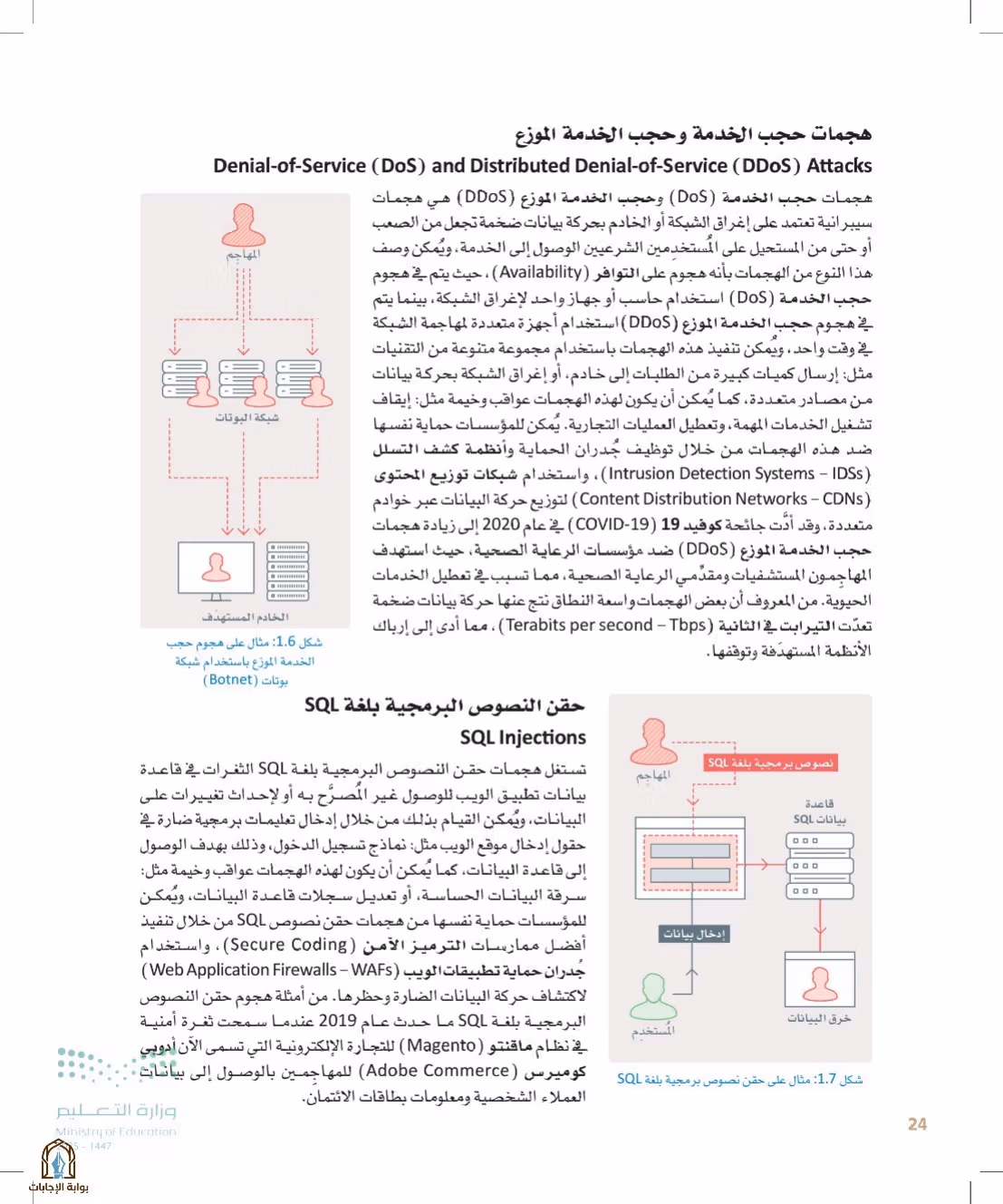 صفحة 24