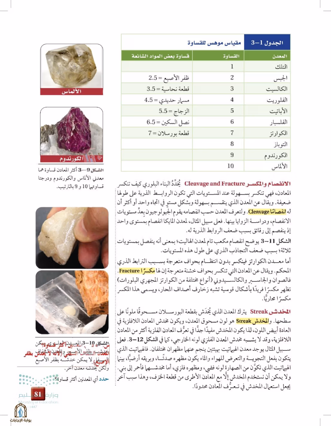 صفحة 81