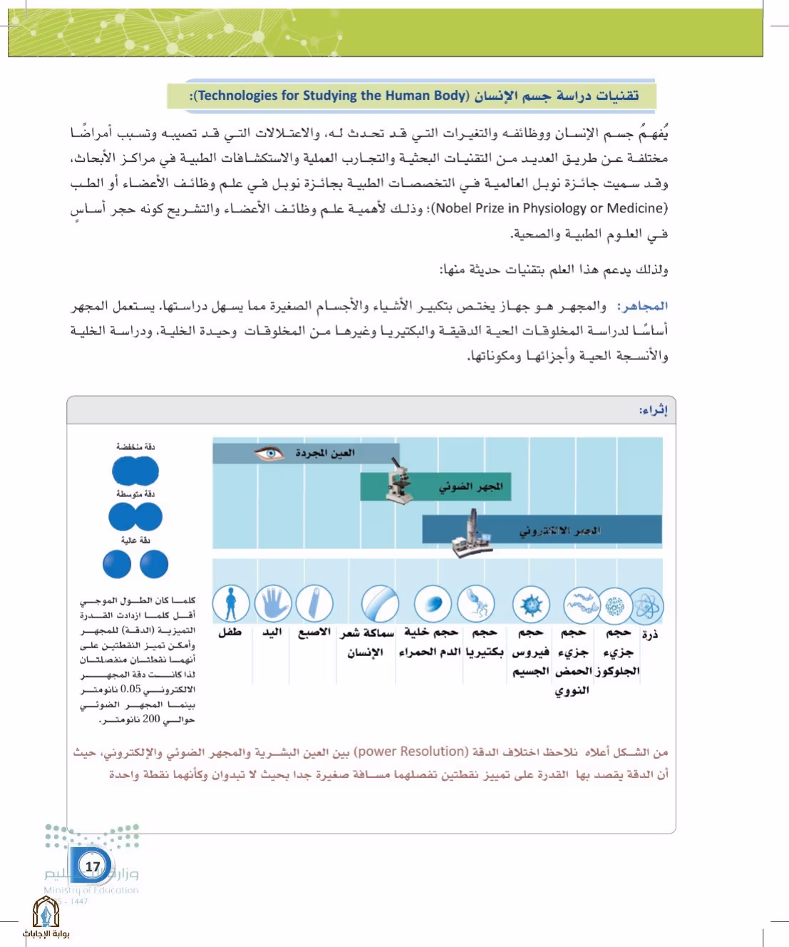 صفحة 17