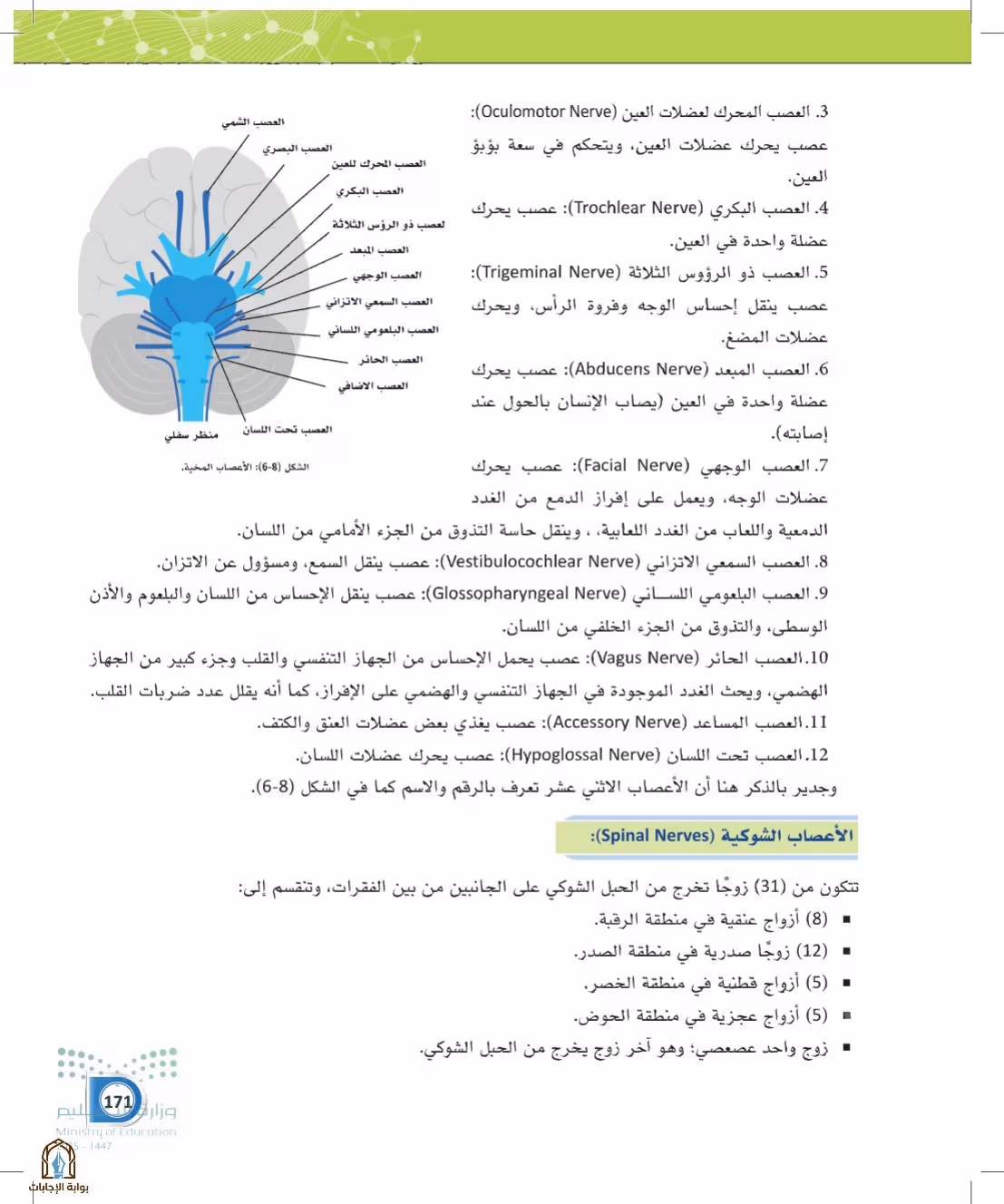 صفحة 171