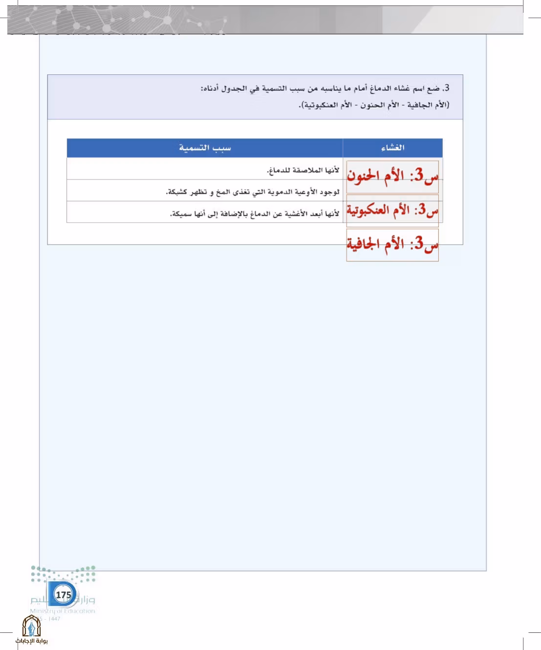 صفحة 175