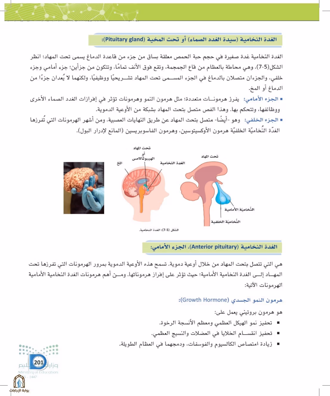 صفحة 201