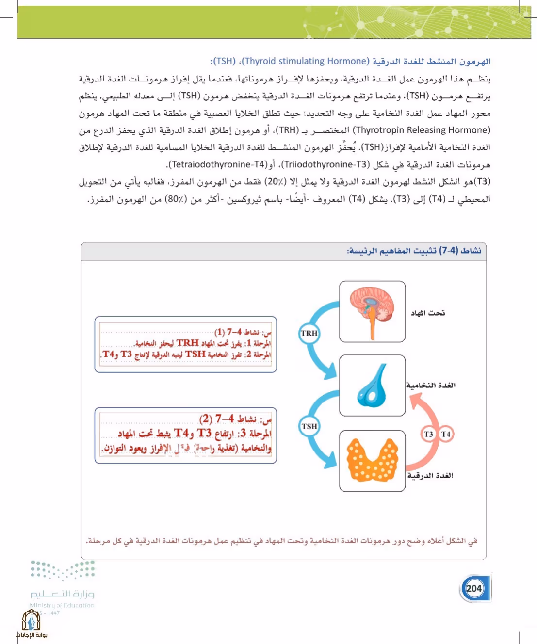 صفحة 204