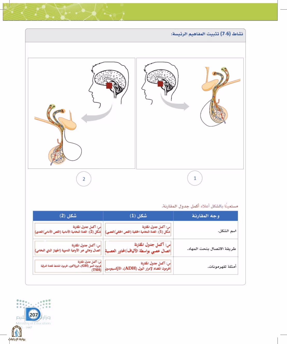 صفحة 207