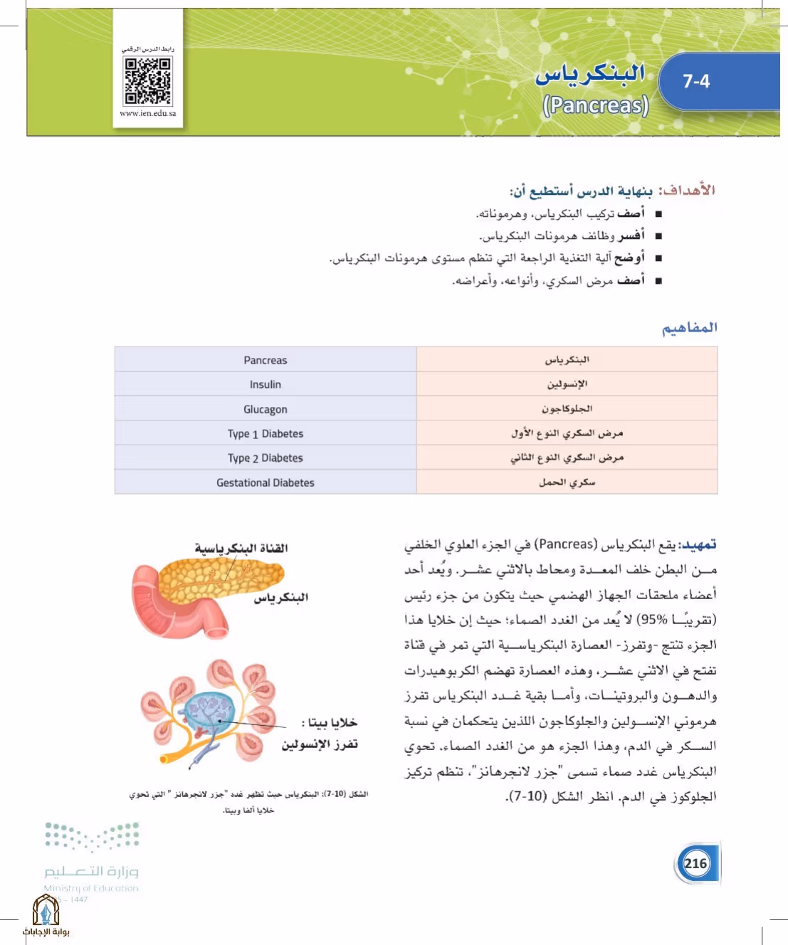 صفحة 216