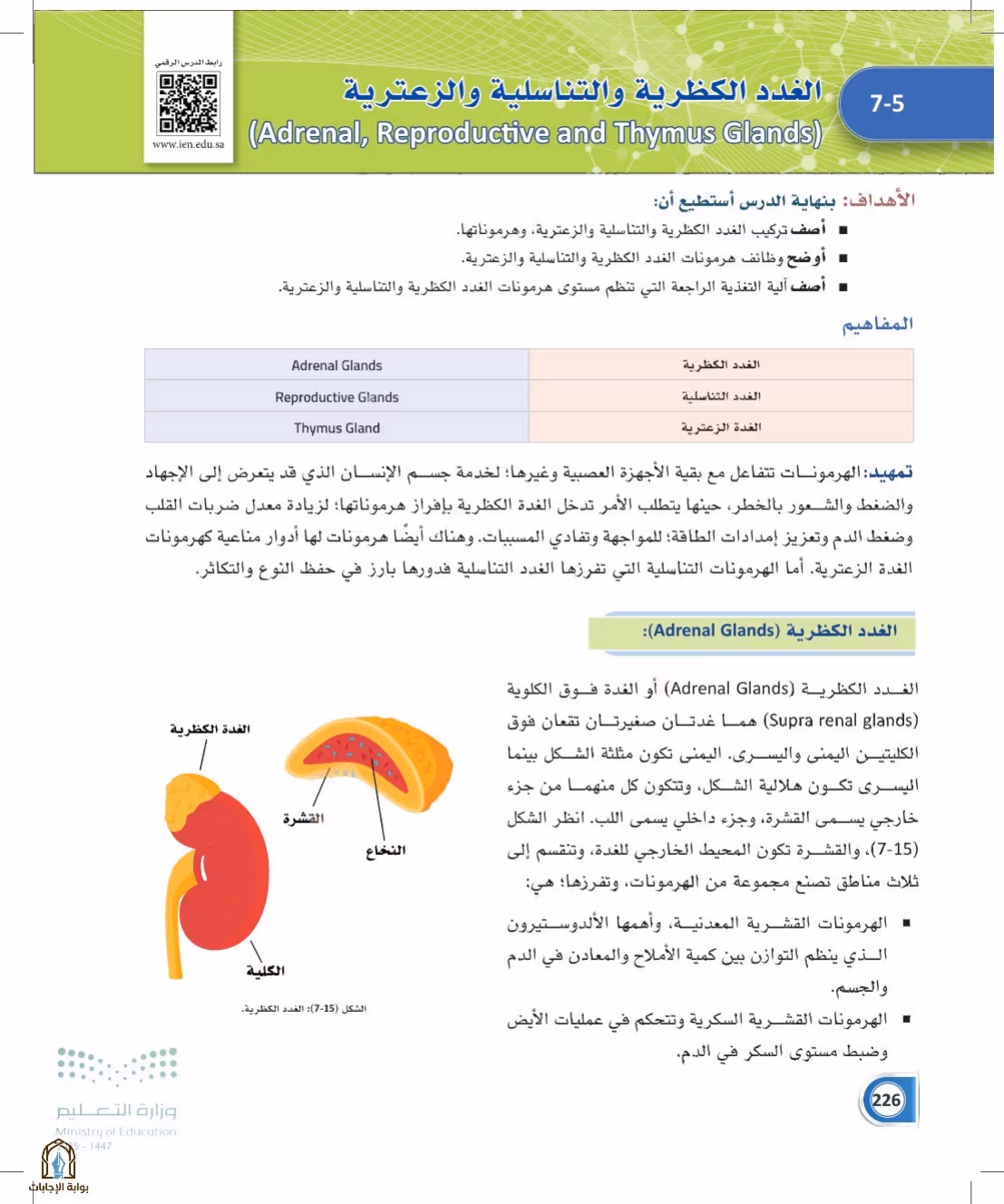 صفحة 226