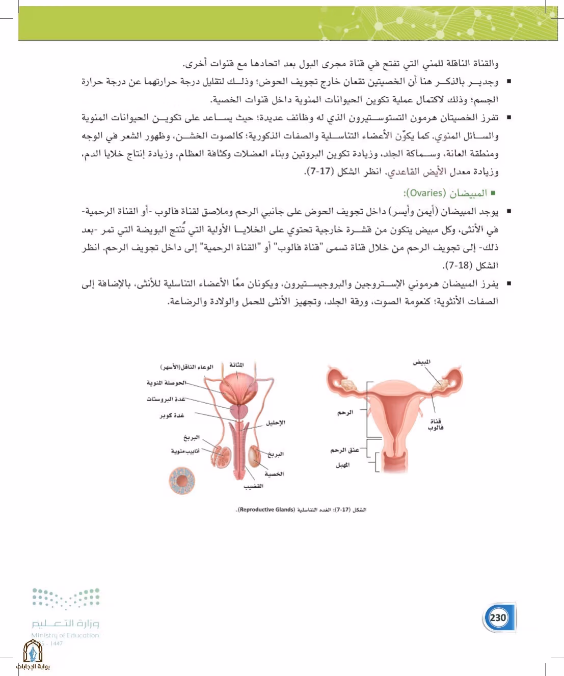 صفحة 230