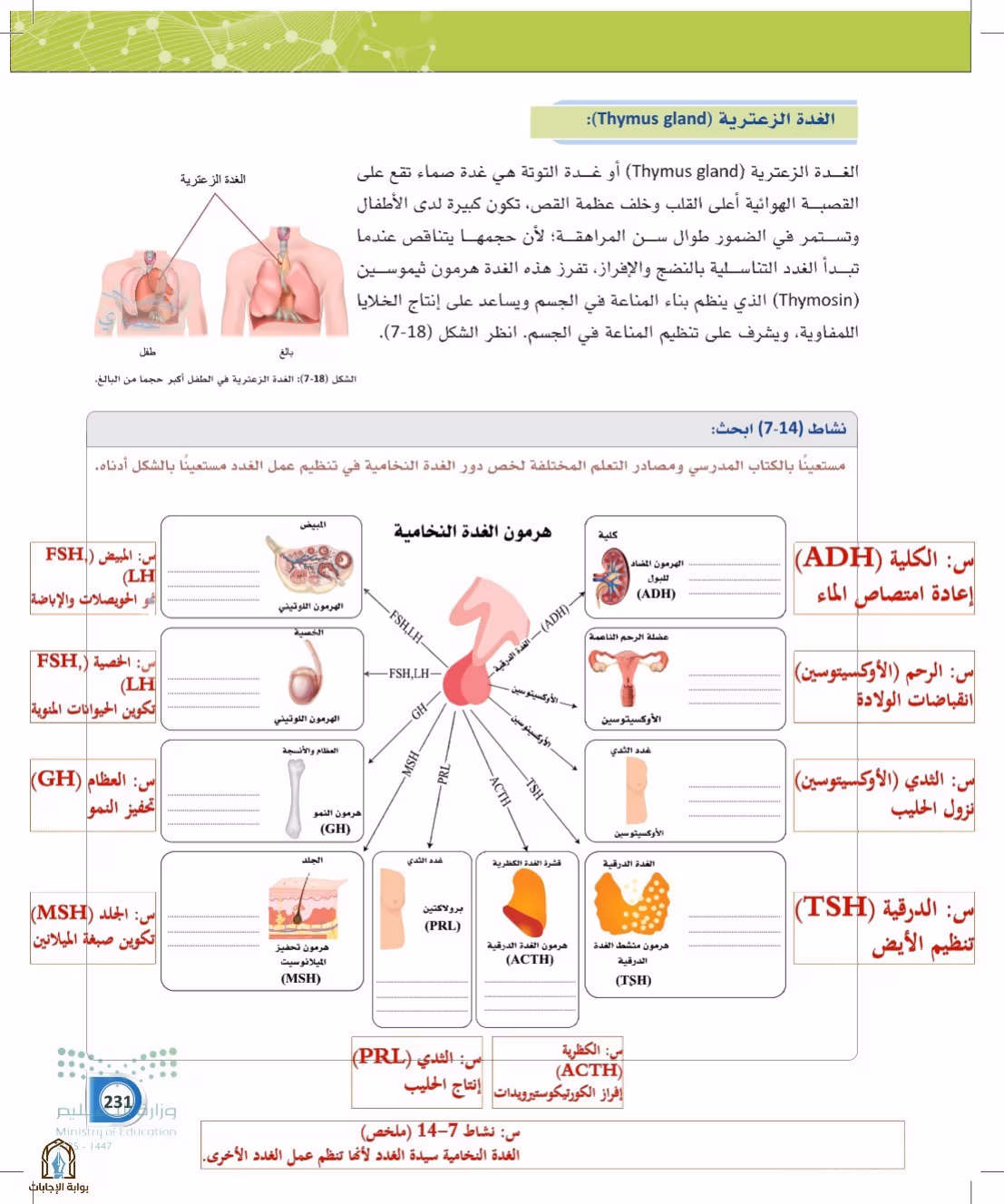 صفحة 231