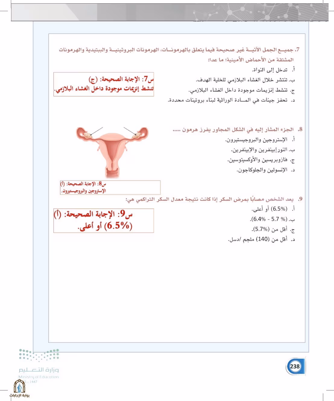 صفحة 238