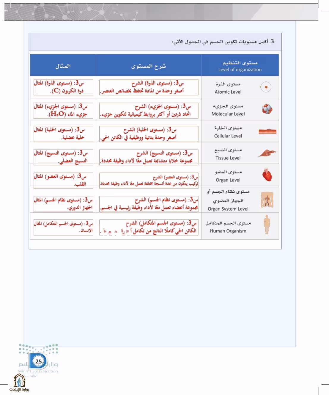صفحة 25