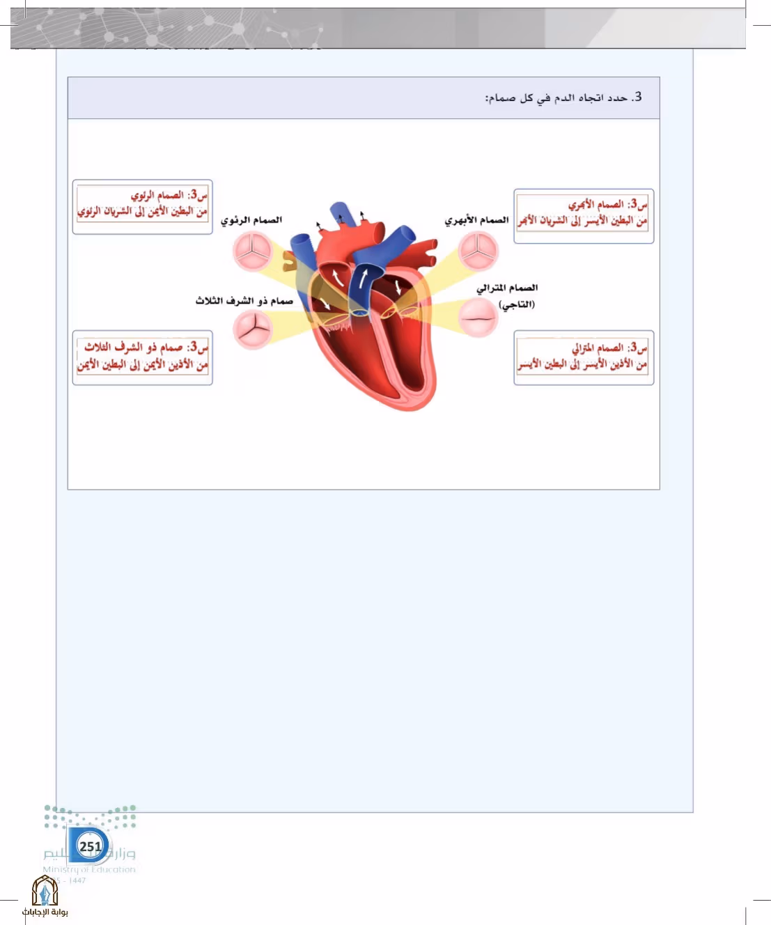 صفحة 251