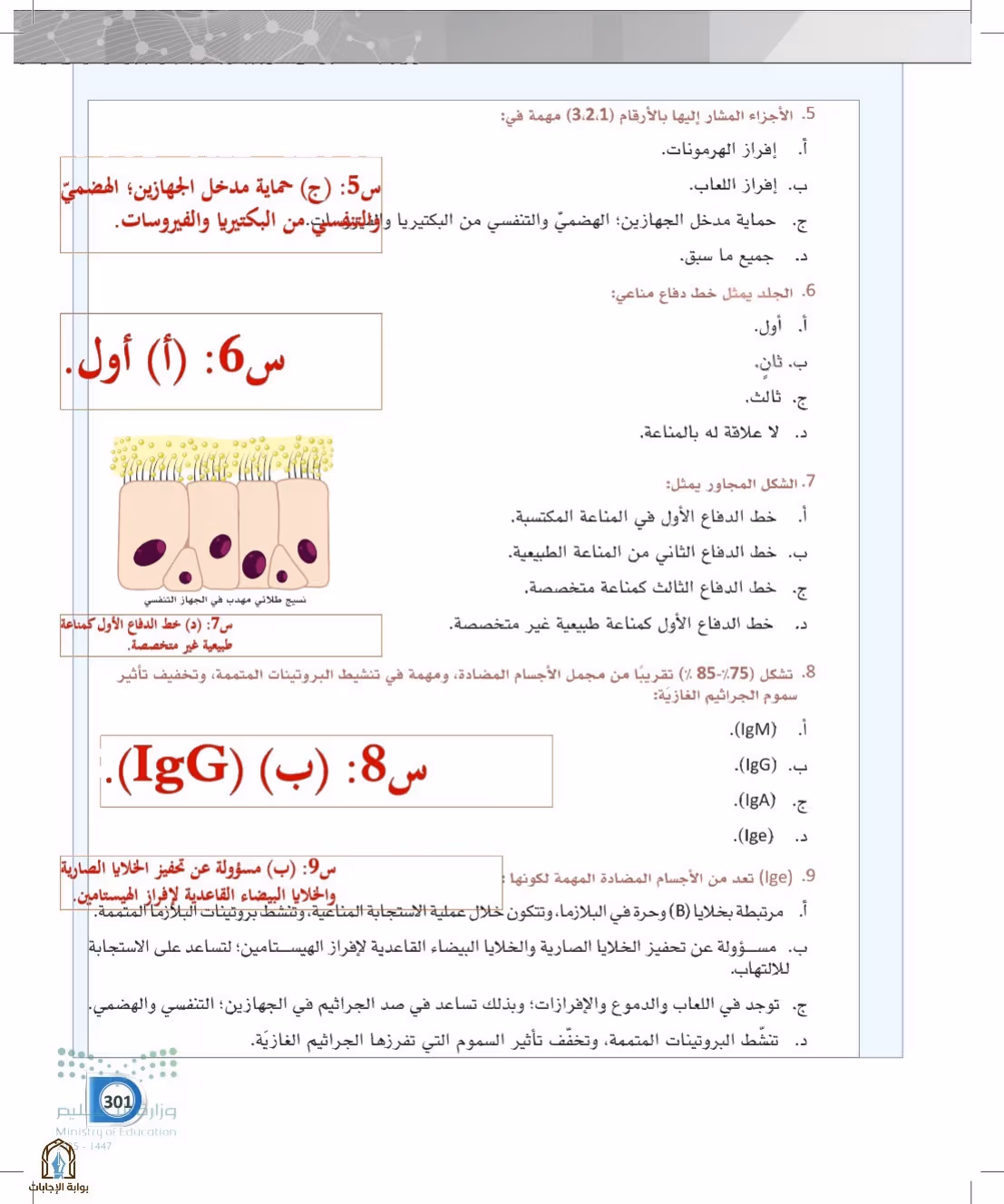 صفحة 301